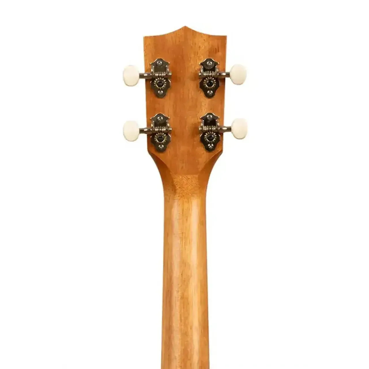 2_02e96902-d6c1-481d-9bfc-362945e9d897 | Terry Carter Music Store
