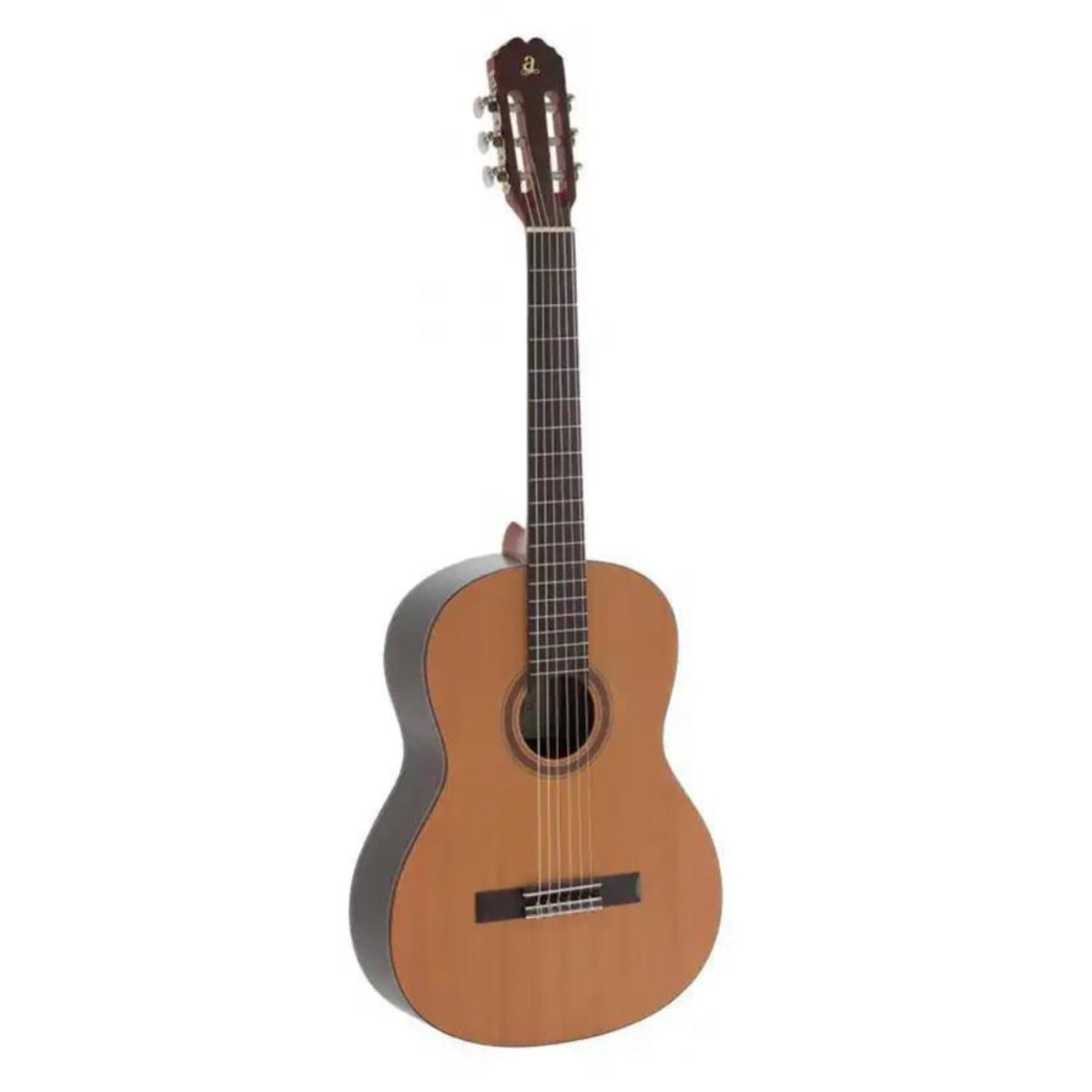 2_04f8c8ea-79f7-45d9-9596-6cc6f67cd935 | Terry Carter Music Store