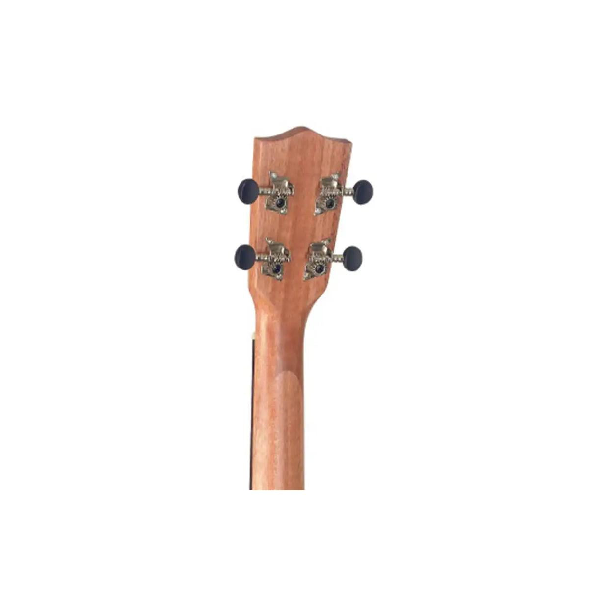 2_08d73f63-751c-41e8-b9c1-8eebff120538 | Terry Carter Music Store