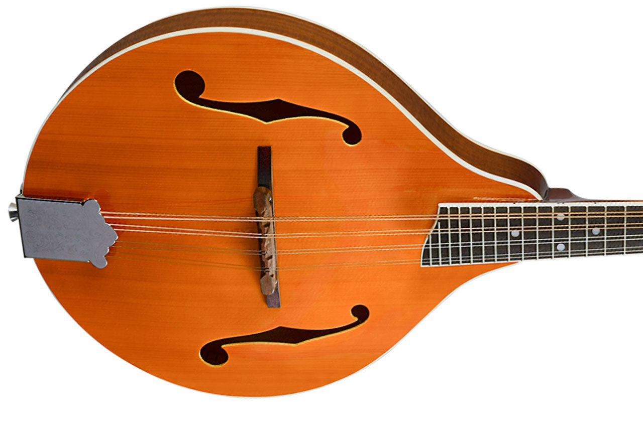 Rover RM-70 Vintage Amber Mandolin