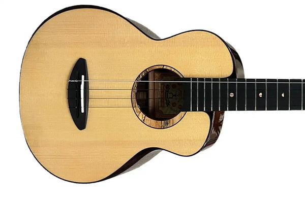 2_2886e340-f7f2-495f-ad2b-760b9983048c | Terry Carter Music Store