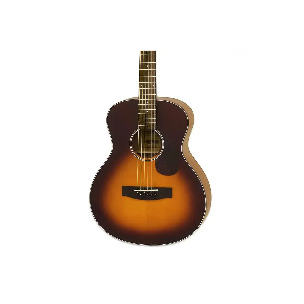 2_2a8a9777-4fa0-4957-bafb-60f6946aa3bd | Terry Carter Music Store