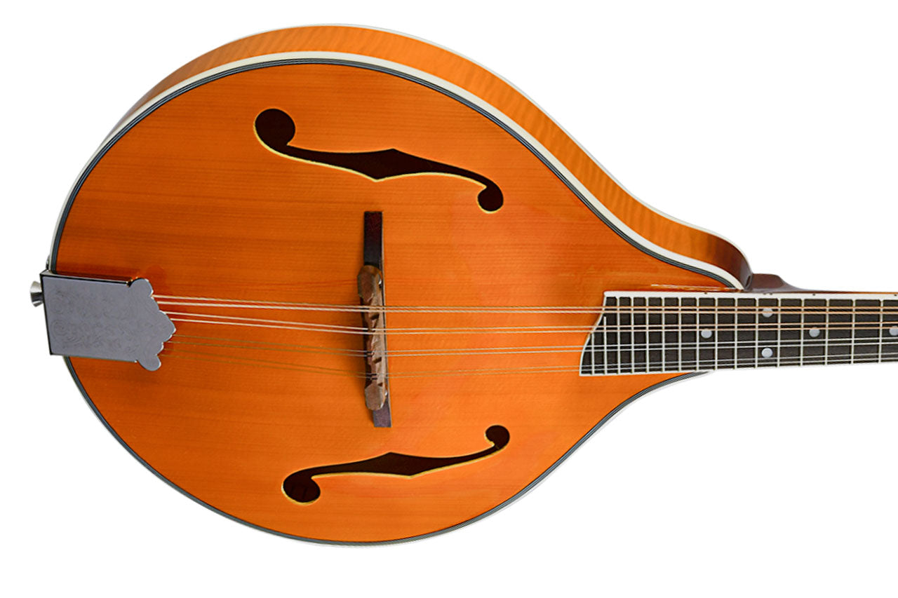 Rover RM-70S Vintage Amber Mandolin