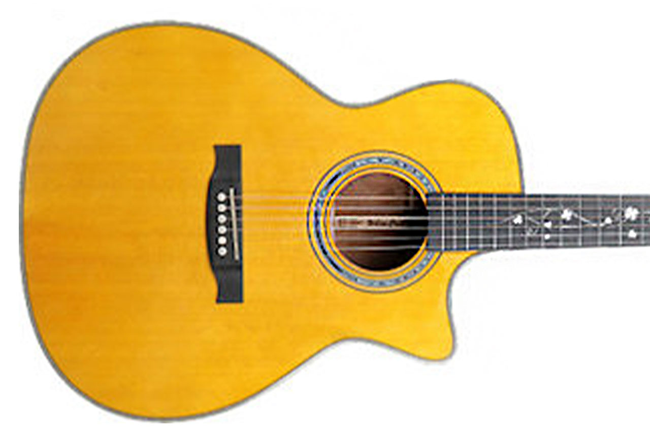 Willow Creek FX-PGE4F Herringbone Pro Guitar