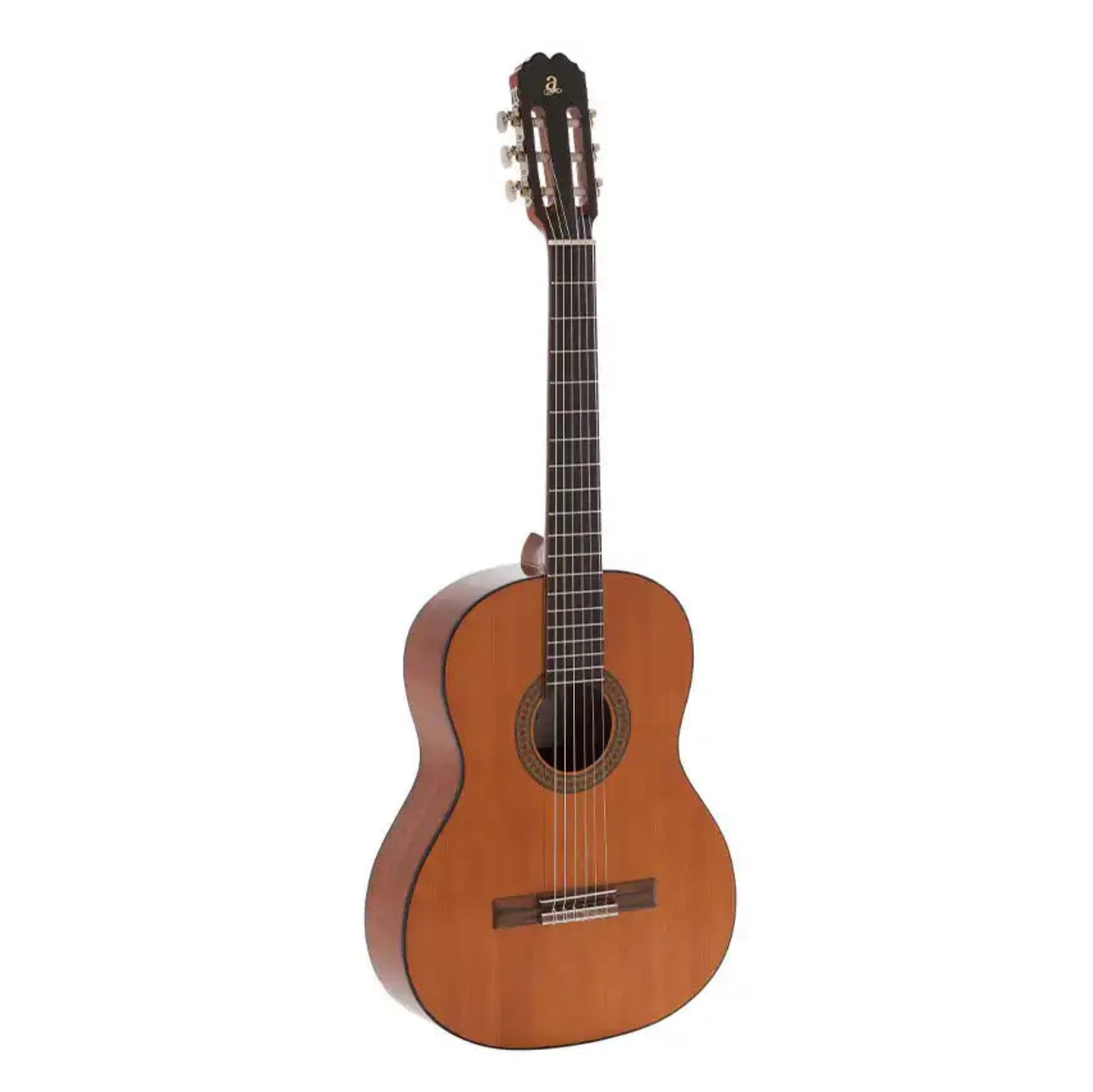 2_57c10f4d-7c20-4f1d-914b-db77f8fac318 | Terry Carter Music Store