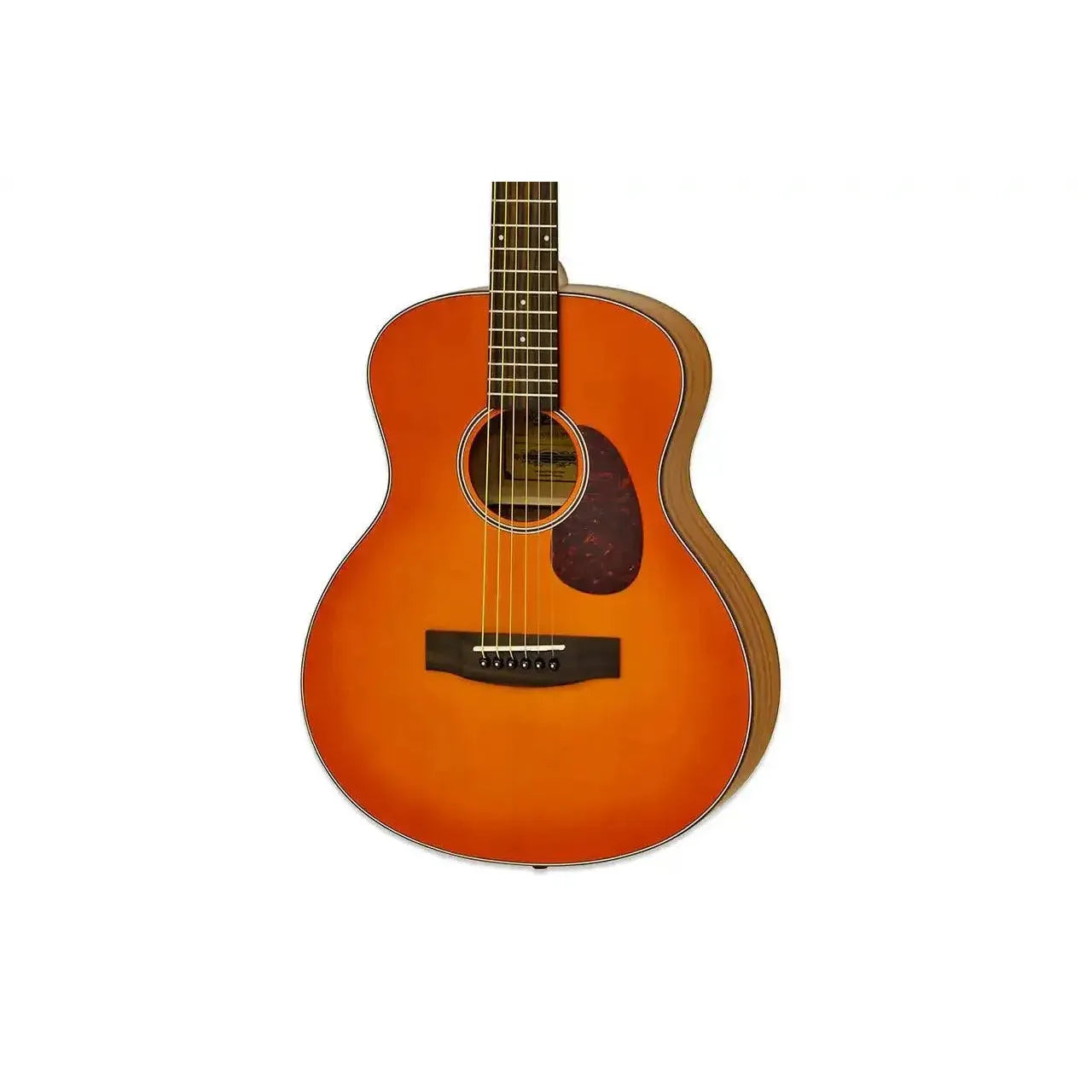 2_5f1cbc55-0b54-4a3e-812a-dacbb5f7ce0b | Terry Carter Music Store