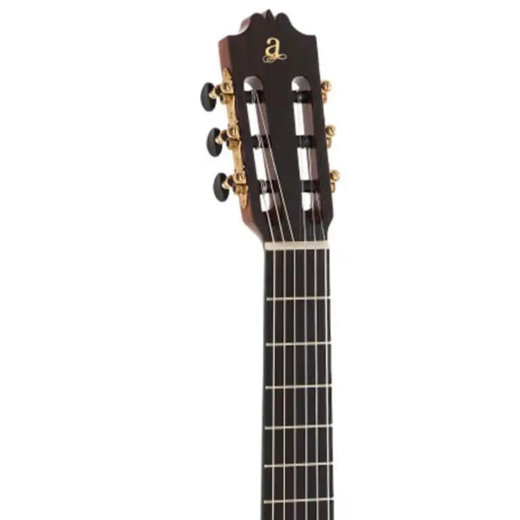2_64b3e7ff-845c-4259-ad6e-d2d828e95b8f | Terry Carter Music Store