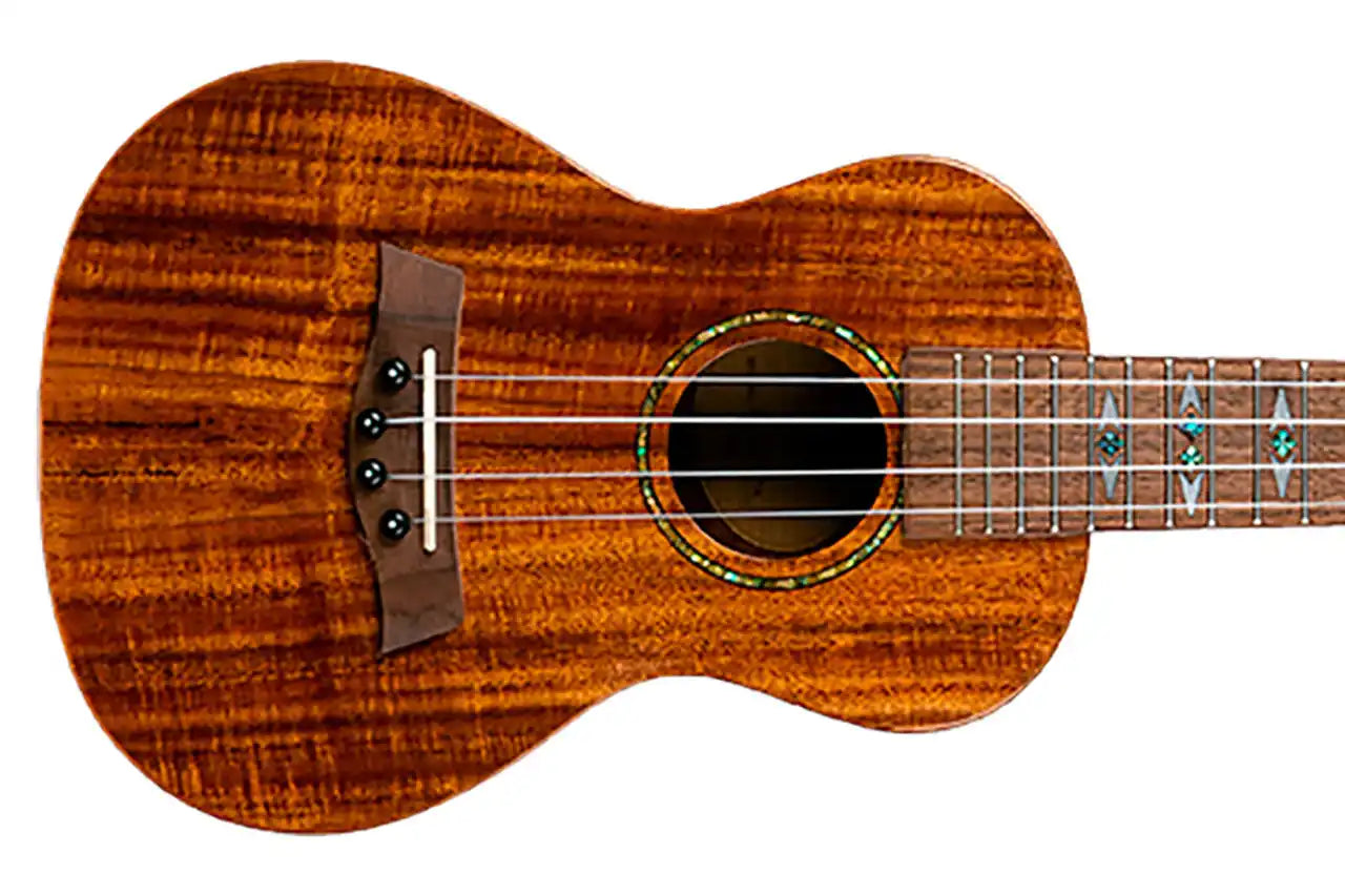 2_7b60f143-ef59-47f2-af38-3d0bfde6229d | Terry Carter Music Store