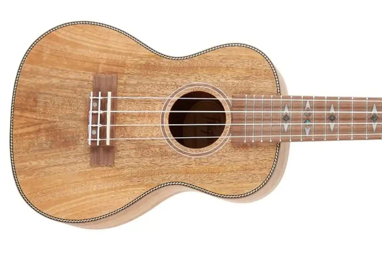 2_8b51ff5e-3895-4c48-9a15-2505478f514f | Terry Carter Music Store