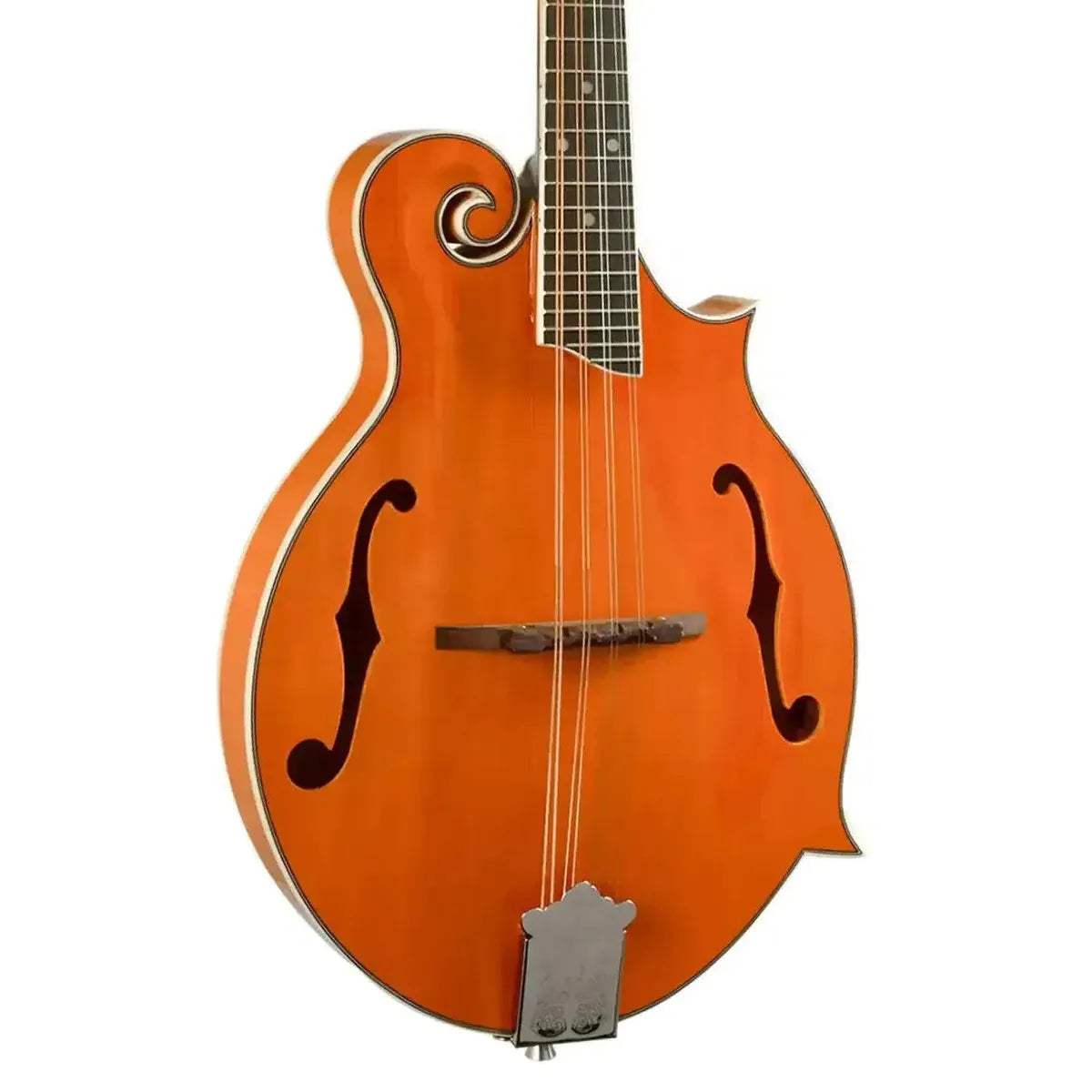 2_8e2ff9b7-f5ac-49fc-b923-5c7f59363af2 | Terry Carter Music Store