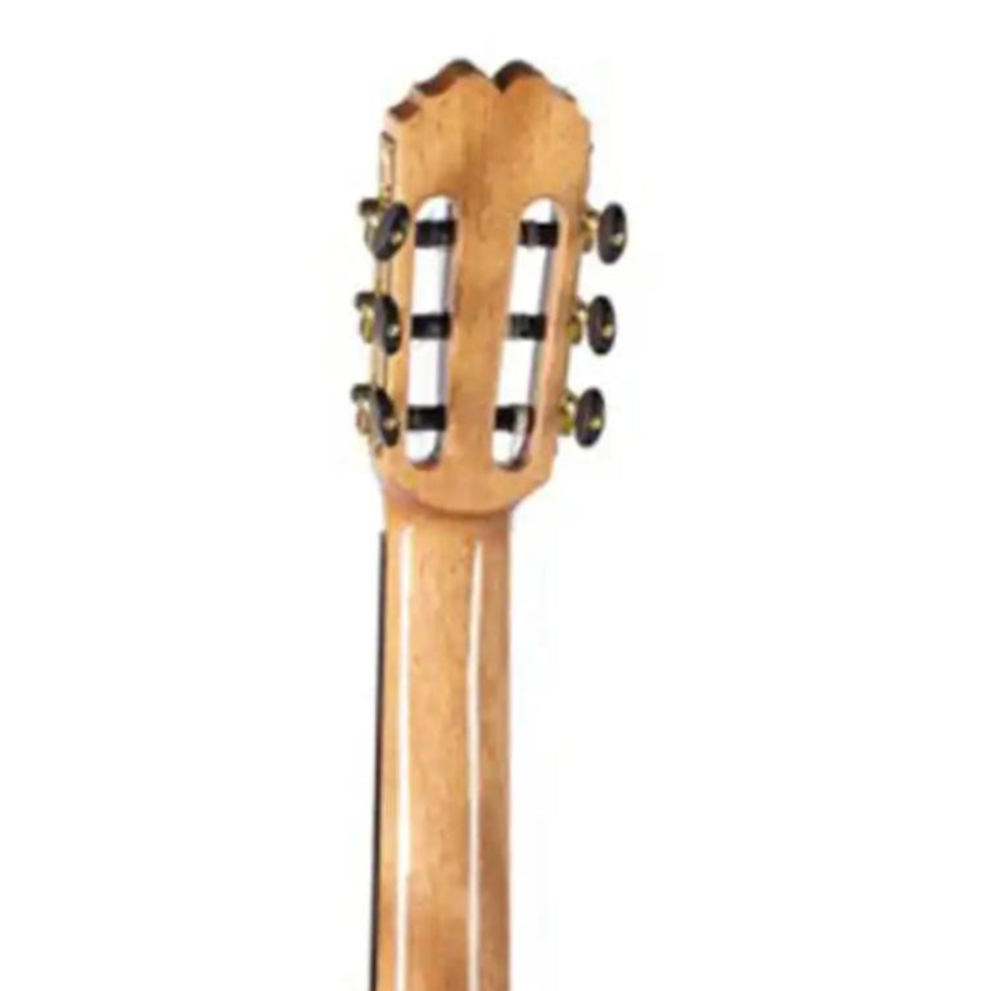 2_ac97b642-9148-4883-936c-43343c56c0e0 | Terry Carter Music Store