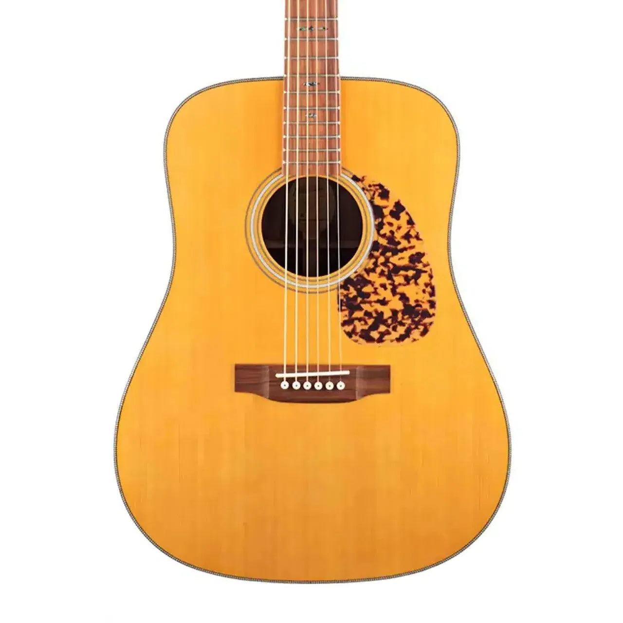 Blueridge BR-160 Dreadnought Guitar - Terry Carter Music Store
