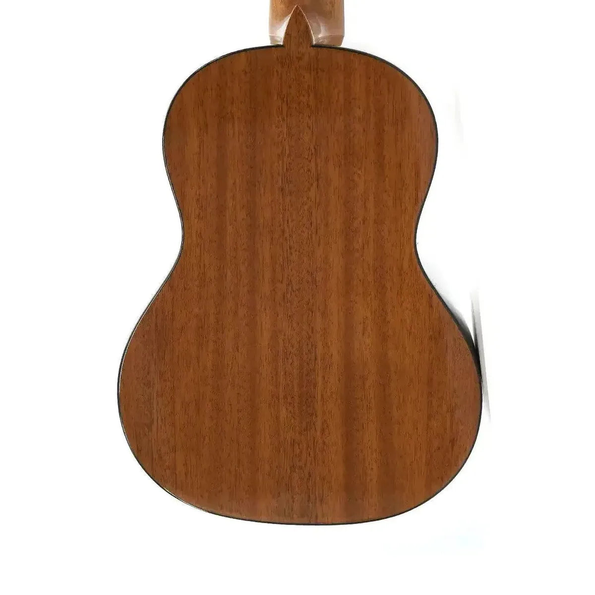 2_daa7ef8b-0123-4f6f-826a-e74c074ccadc | Terry Carter Music Store