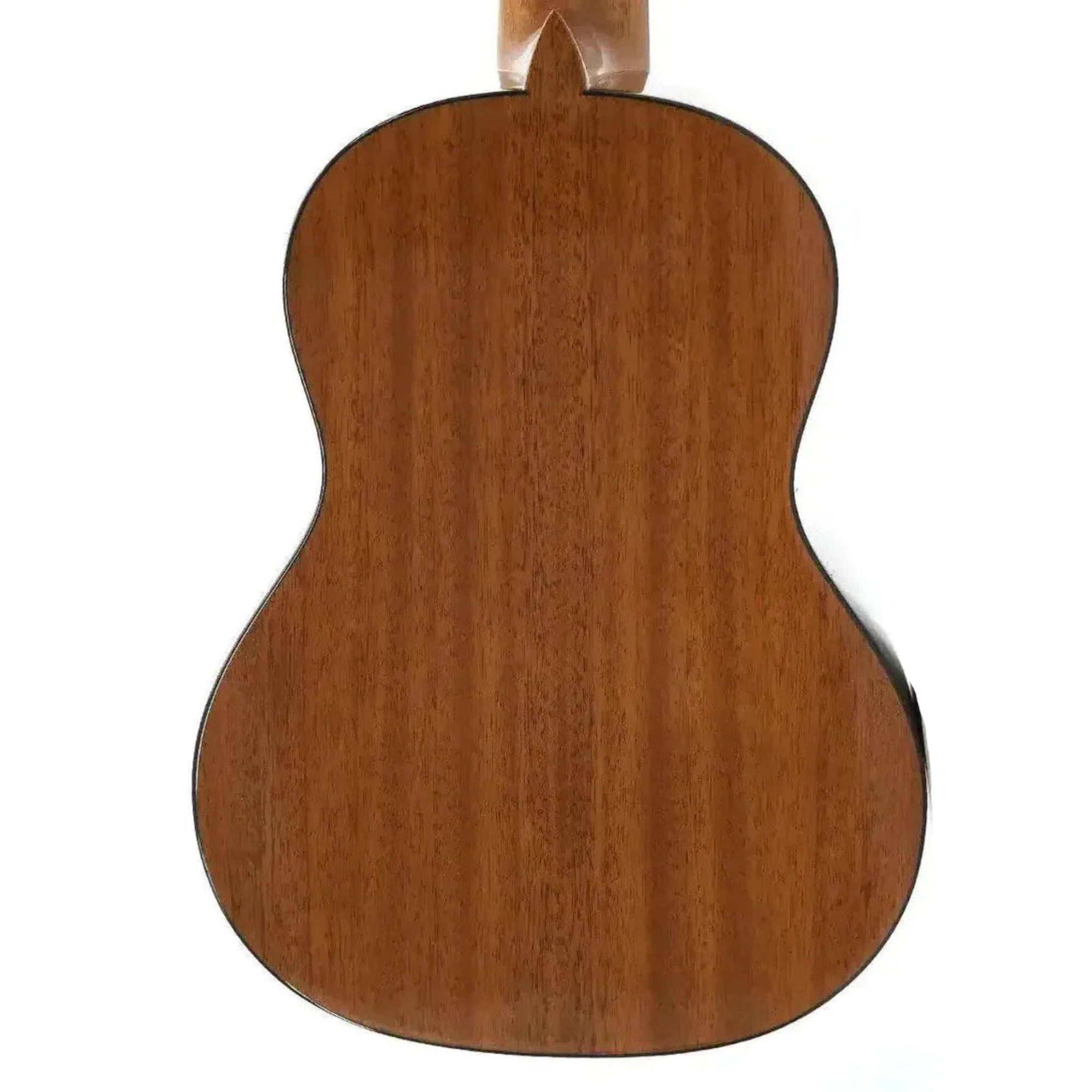 2_daa7ef8b-0123-4f6f-826a-e74c074ccadc | Terry Carter Music Store