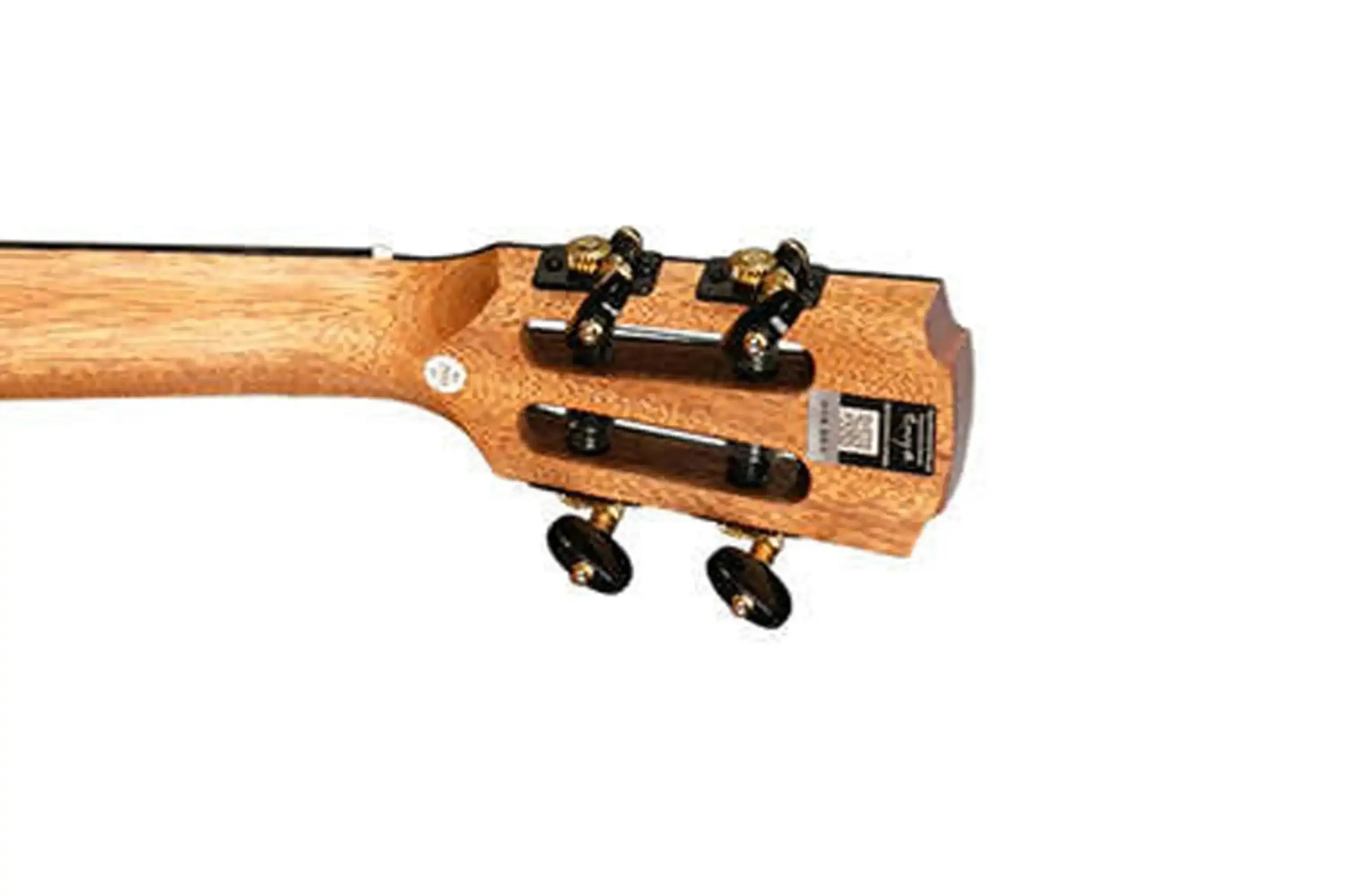 2_ed22c64f-5730-440c-82fd-dd58bc0947bf | Terry Carter Music Store