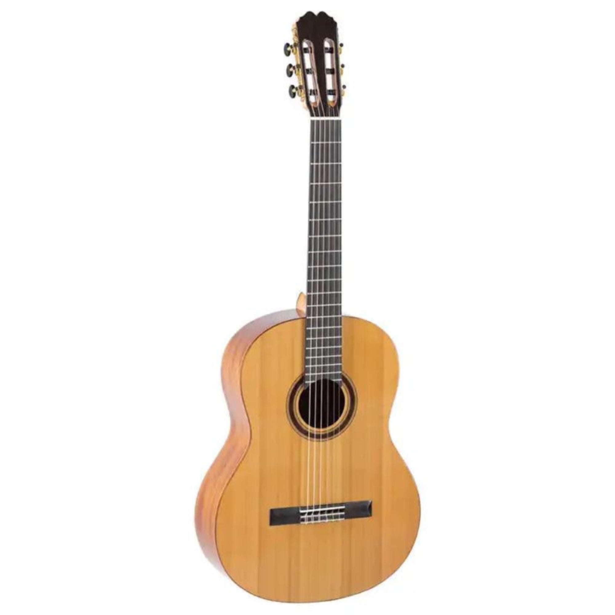 2_f3c18fa3-2ae3-444a-ac58-df824c7600e7 | Terry Carter Music Store