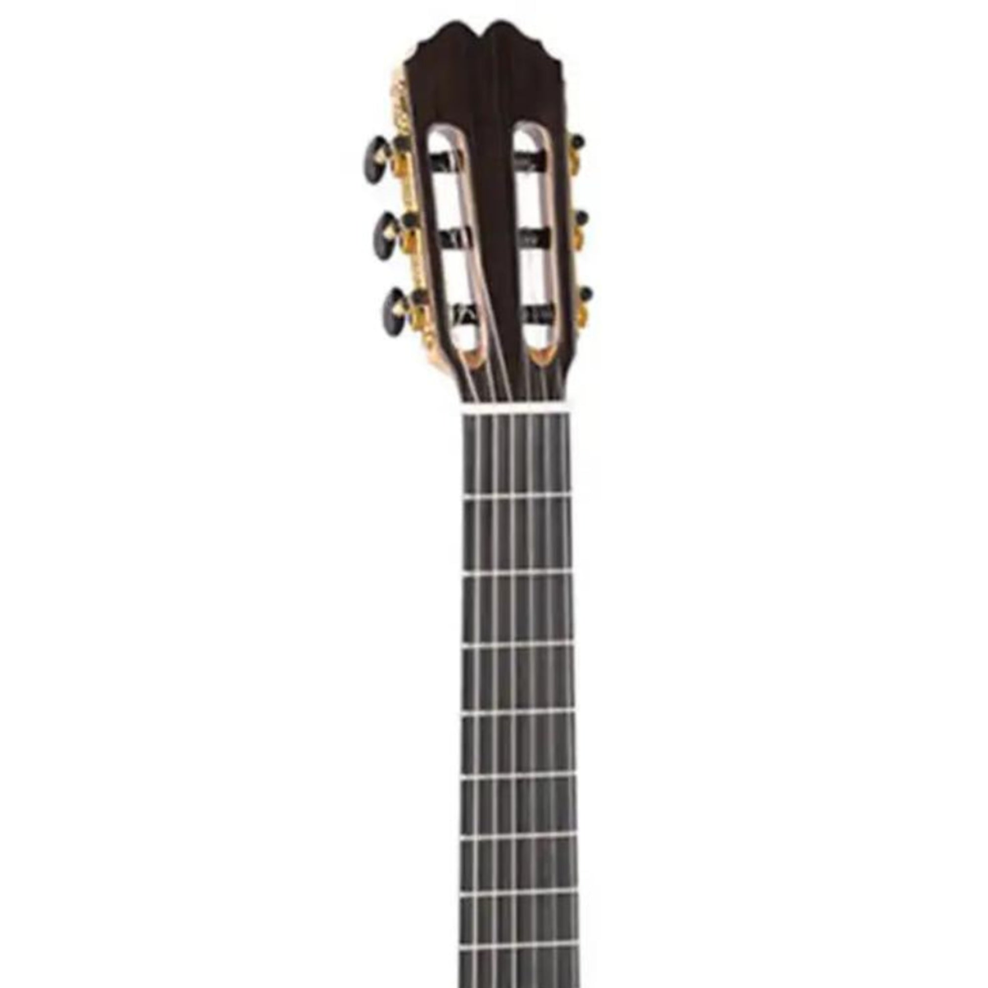 2_f620e462-4683-4062-9f79-0bc4fe1d1591 | Terry Carter Music Store