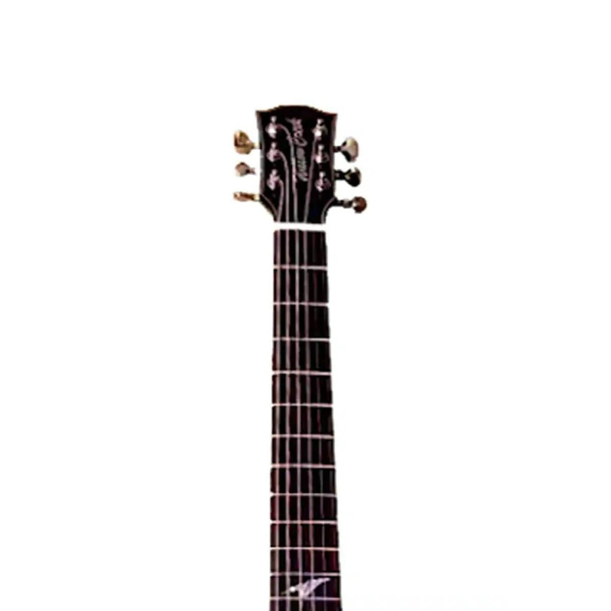 312.59.51PM | Terry Carter Music Store