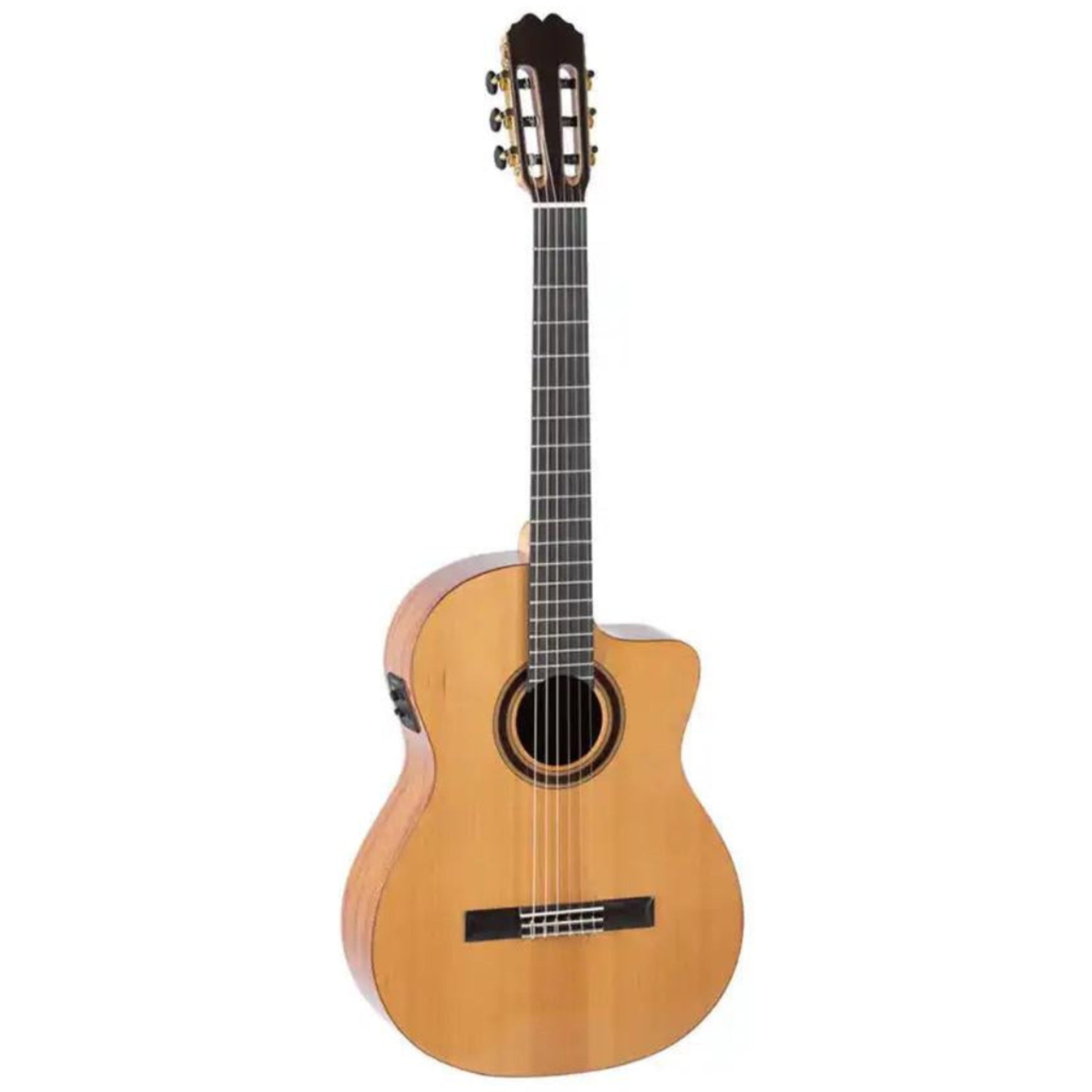 3_2adf9cd6-0a05-4d5f-b3ed-220be6cc3fbe | Terry Carter Music Store