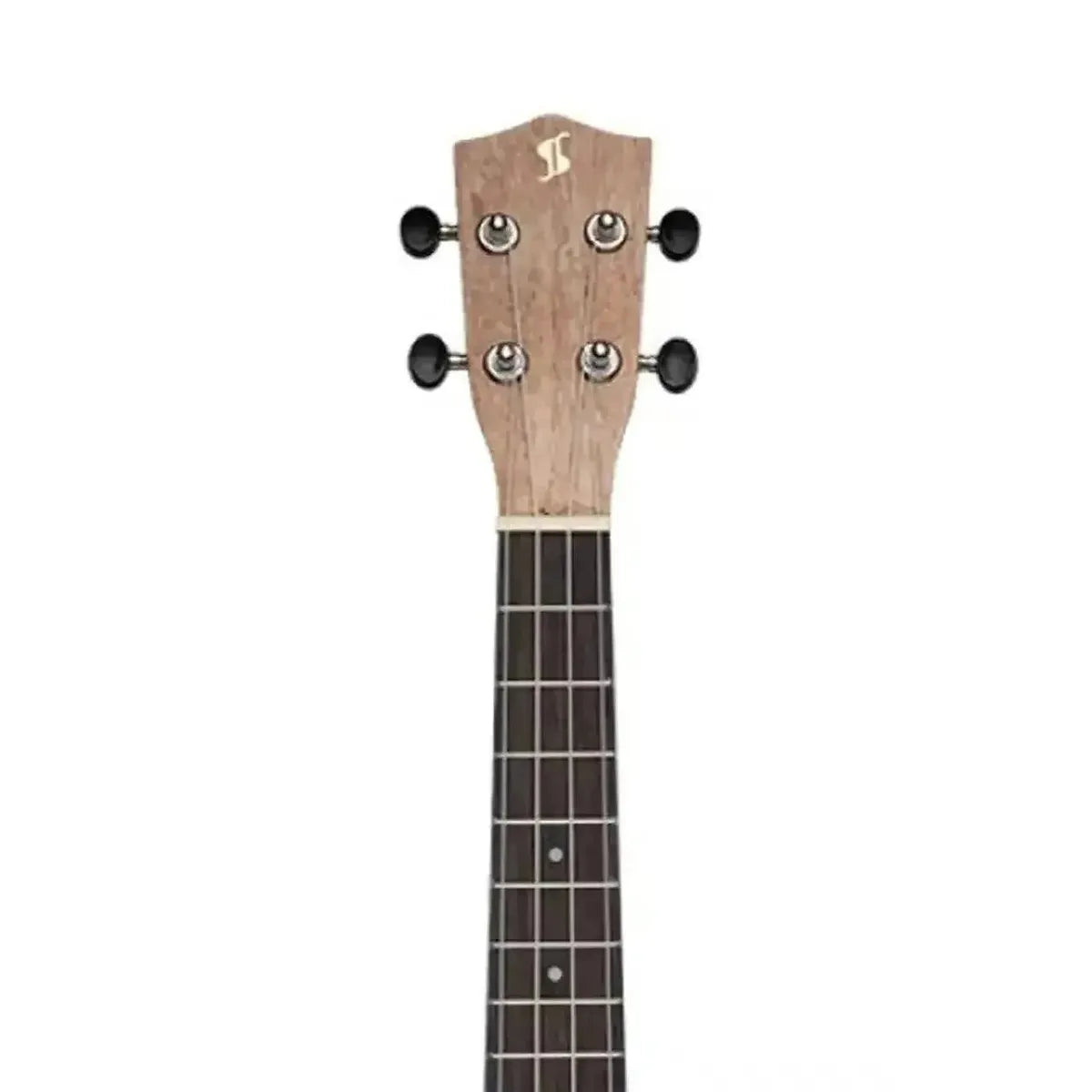 3_79d07c06-f490-4668-b851-75b17cf3acd9 | Terry Carter Music Store
