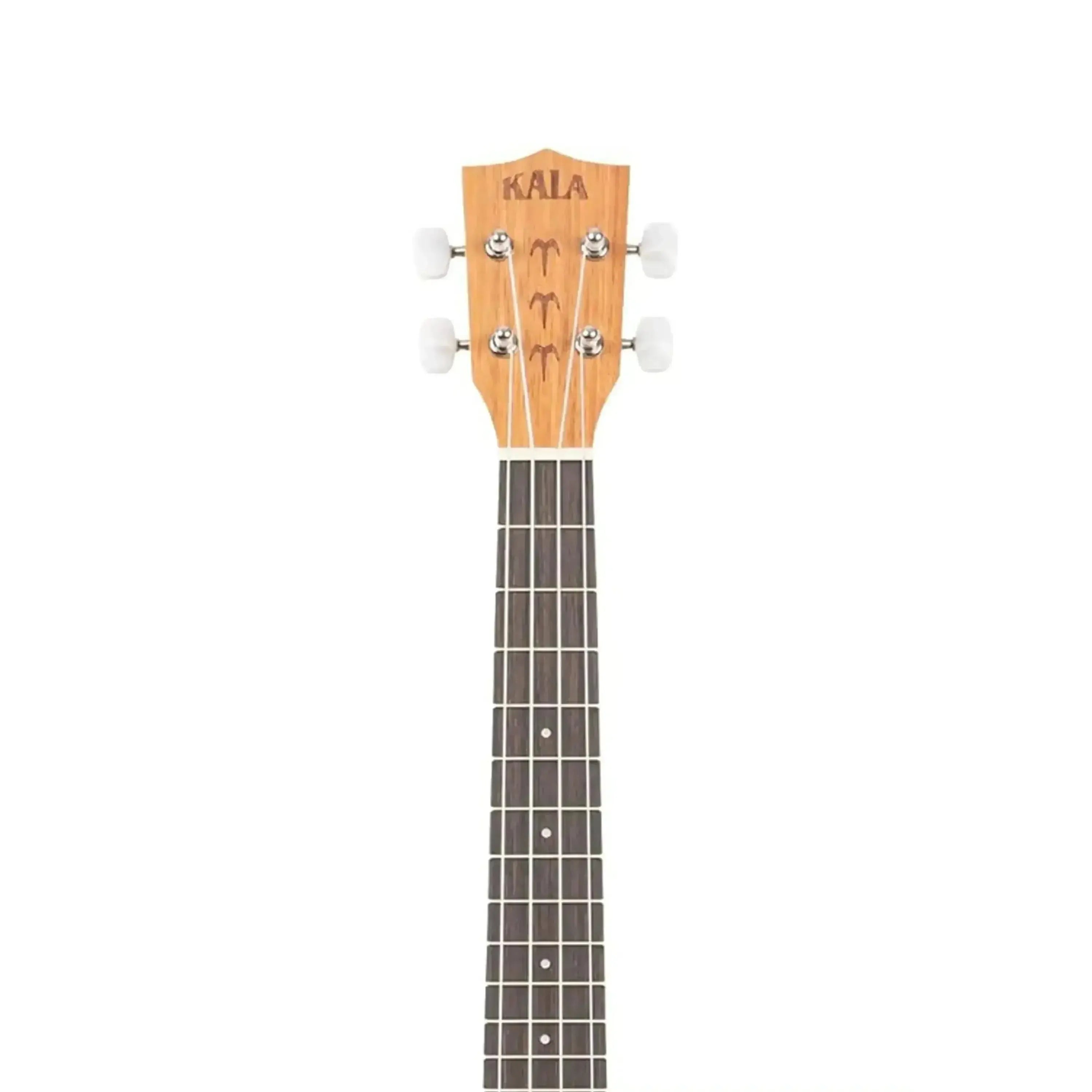3_7dcc8399-a53f-47dc-a5c4-754797f4f4c1 | Terry Carter Music Store