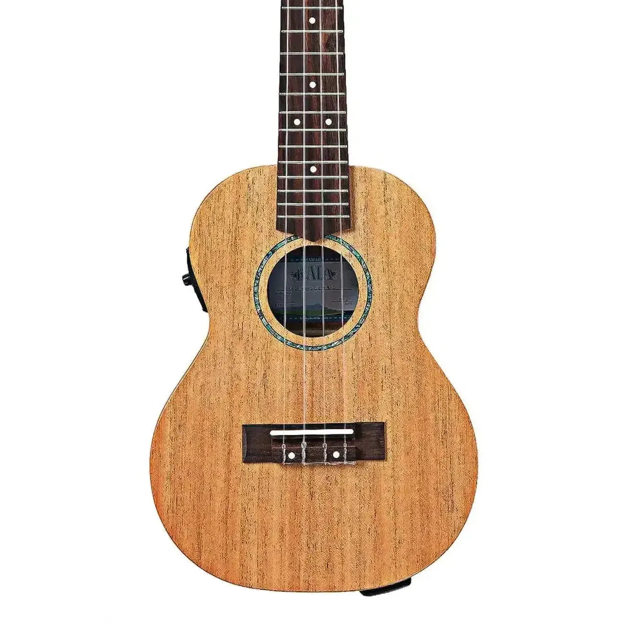 3_9cbf4ac4-b4ea-464b-9f07-60628d37e441 | Terry Carter Music Store