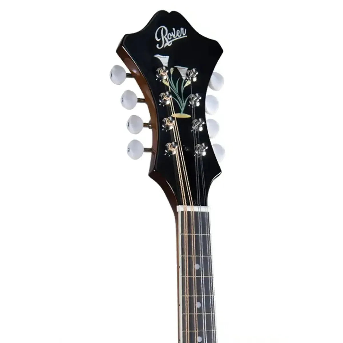 3_b642ed2e-9bc6-48a9-be6c-279fb8f332af | Terry Carter Music Store