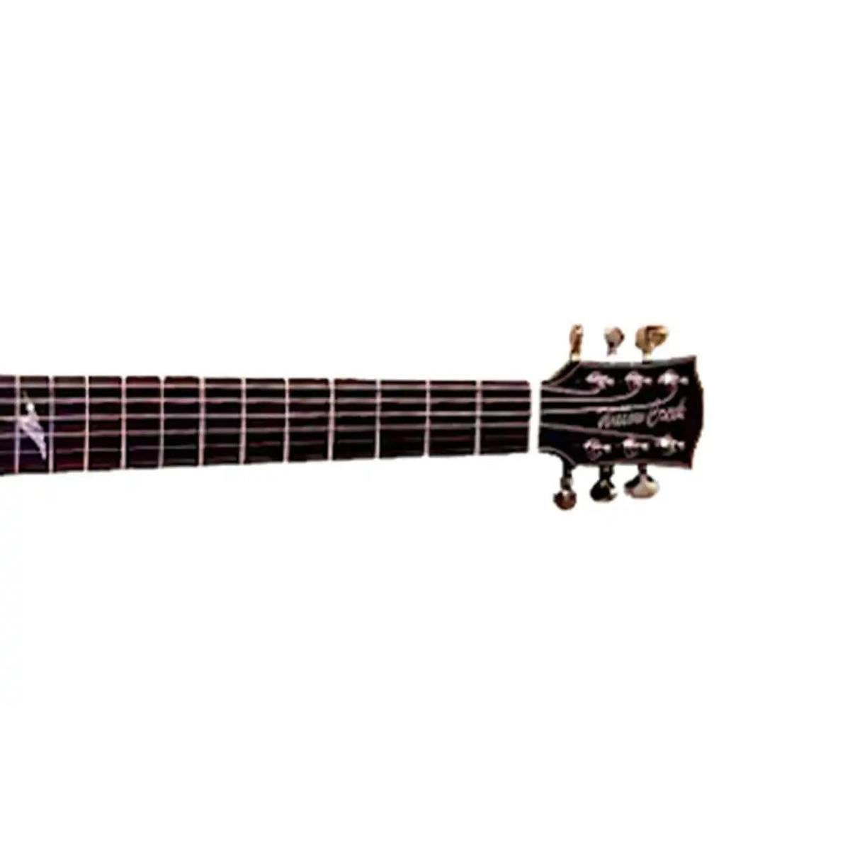 3_ba8c94b6-933e-479a-9fda-4722264c8e49 | Terry Carter Music Store