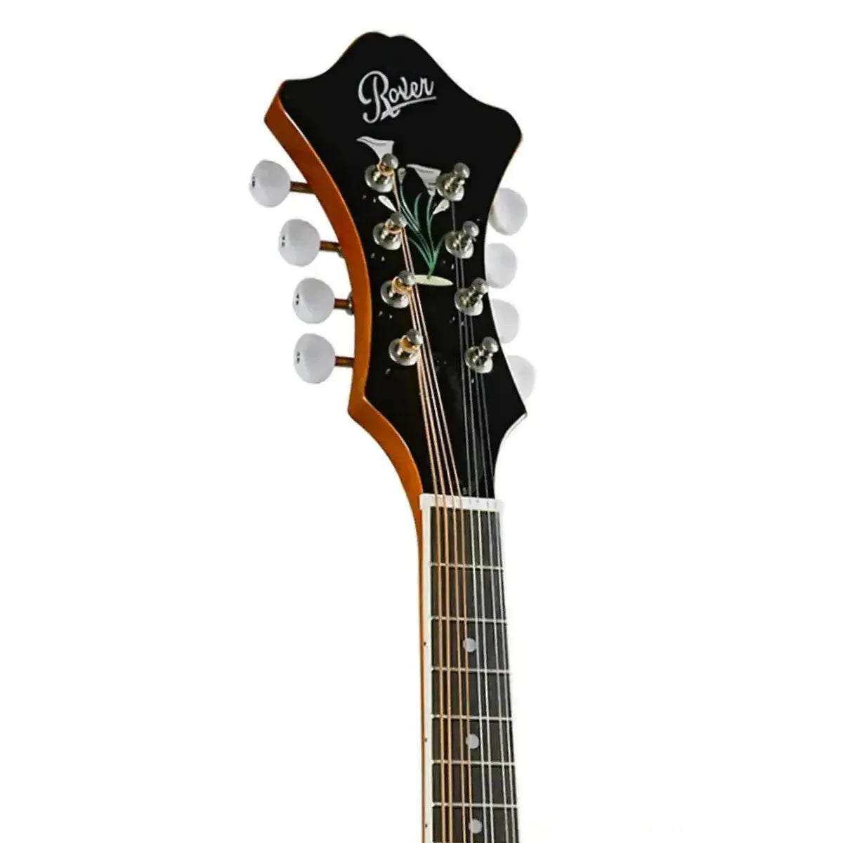 3_bde63c9a-08cb-4963-b906-a581e2b7a035 | Terry Carter Music Store