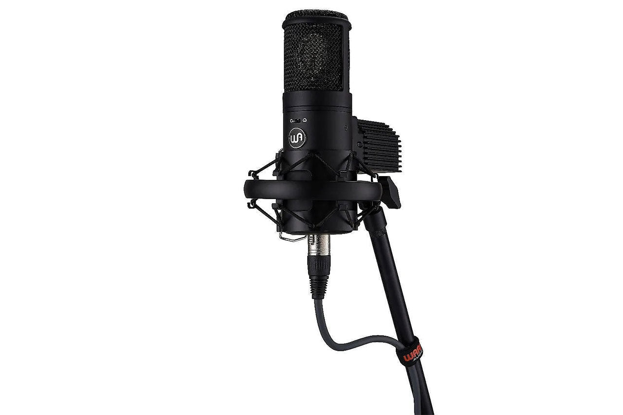 Warm Audio WA-8000 Tube Condenser Microphone