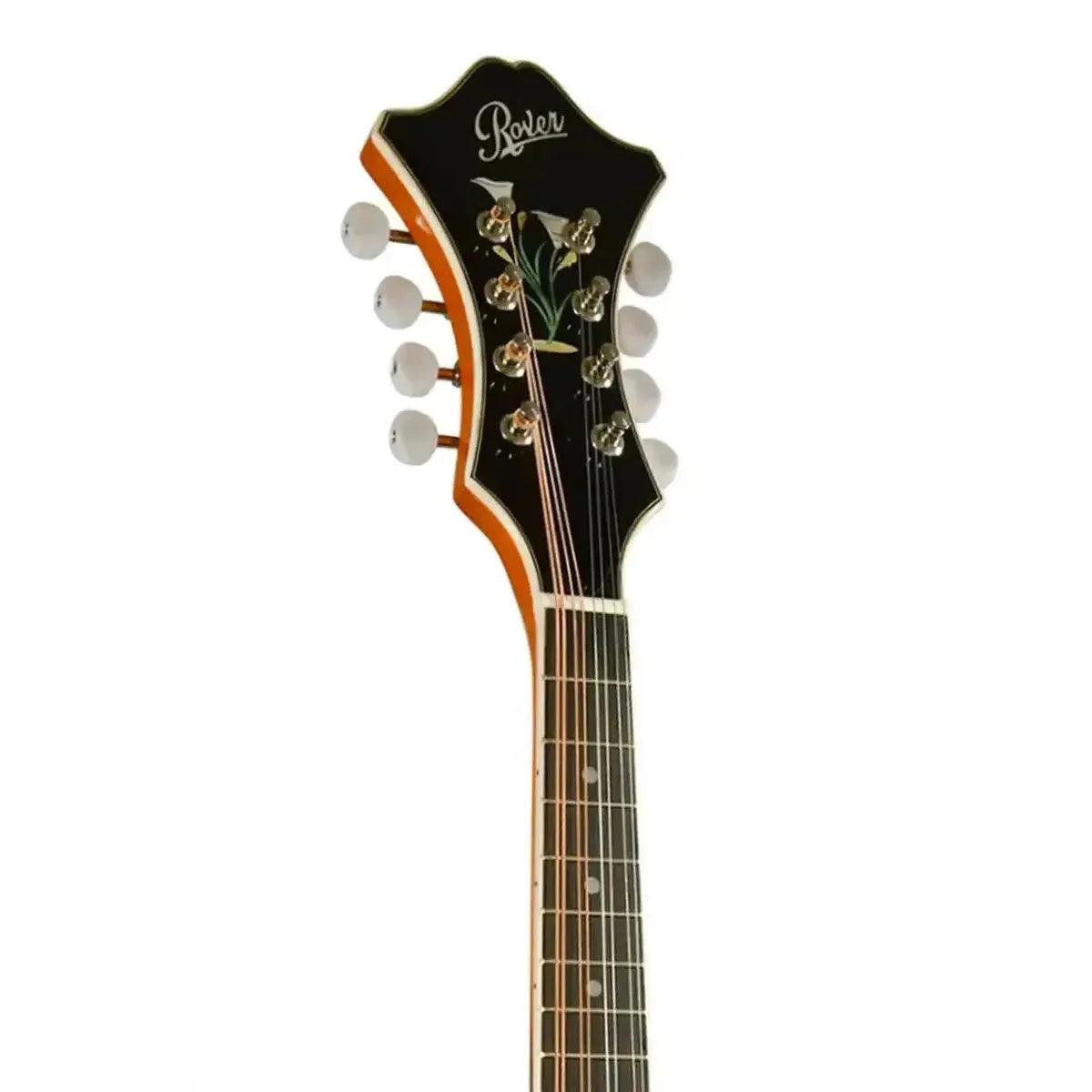 3_c5154168-0f3a-418a-998c-5468166847bb | Terry Carter Music Store