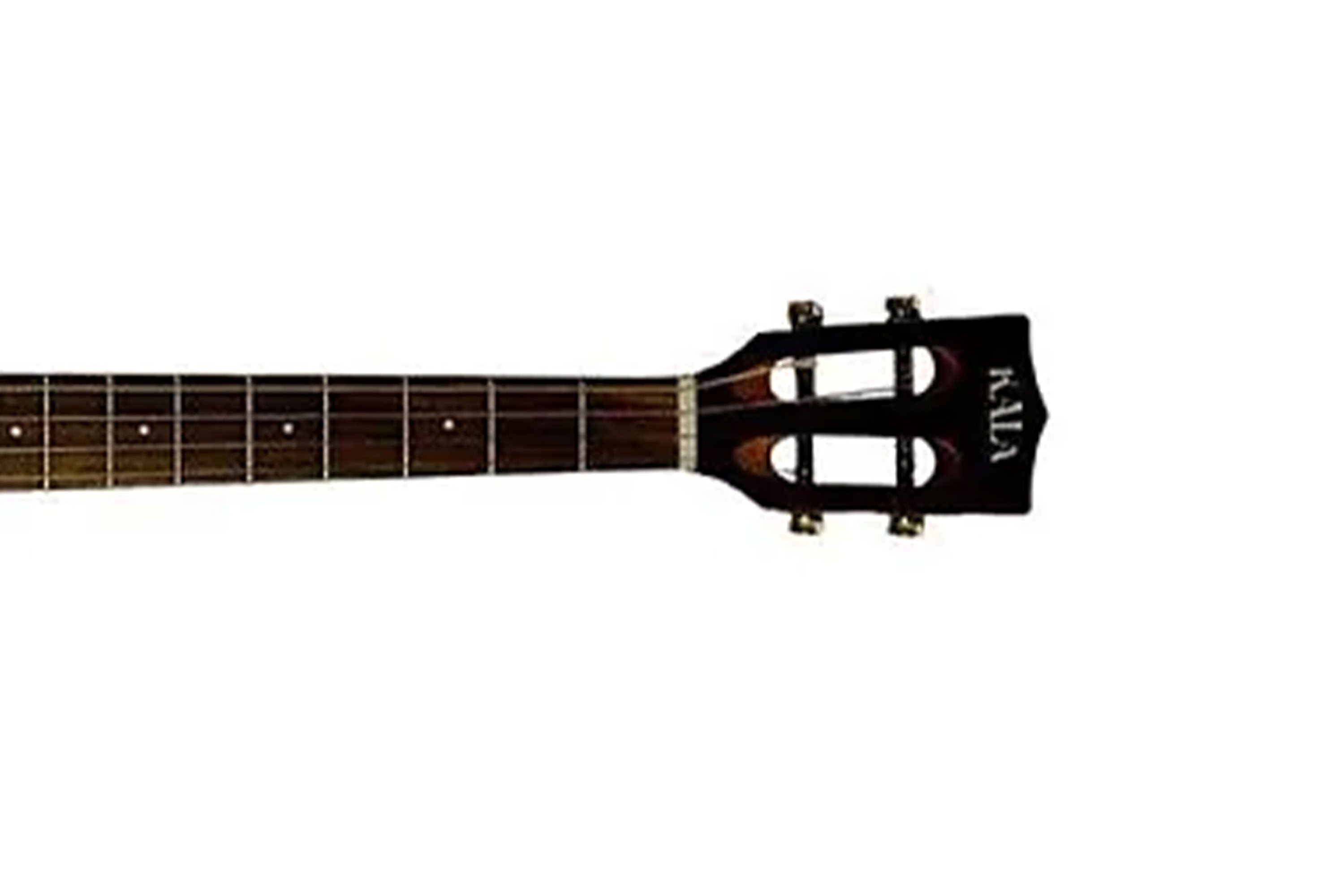 Kala Solid Spruce Top Pau Ferro Tenor Guitar