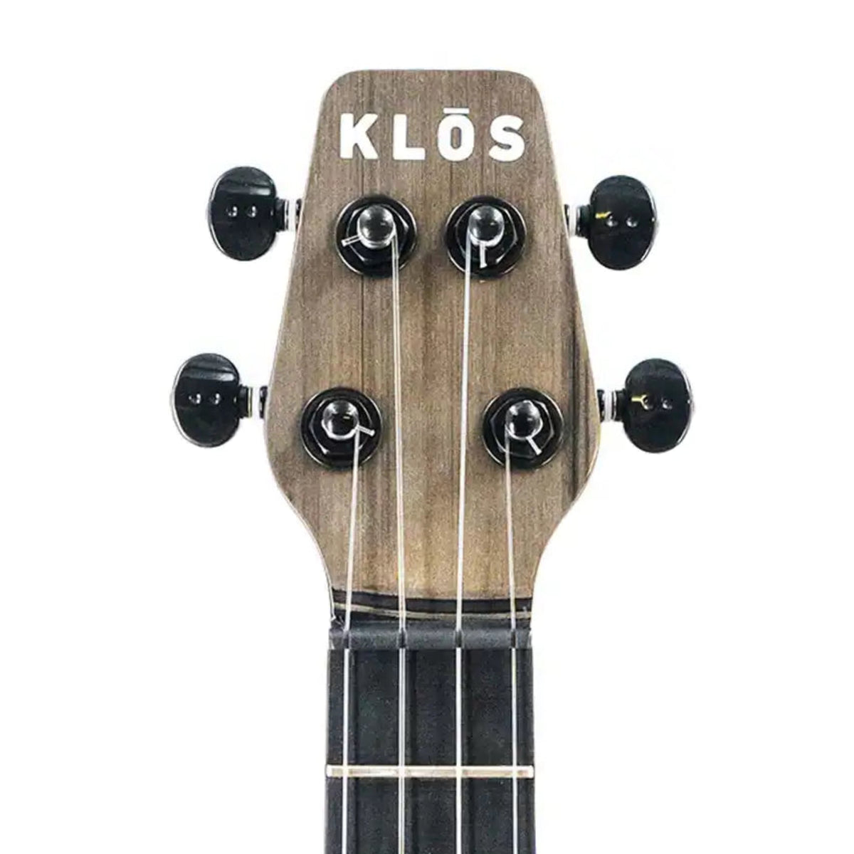 4_1c02a1ab-d538-447f-8b8c-186e3d9dbf72 | Terry Carter Music Store