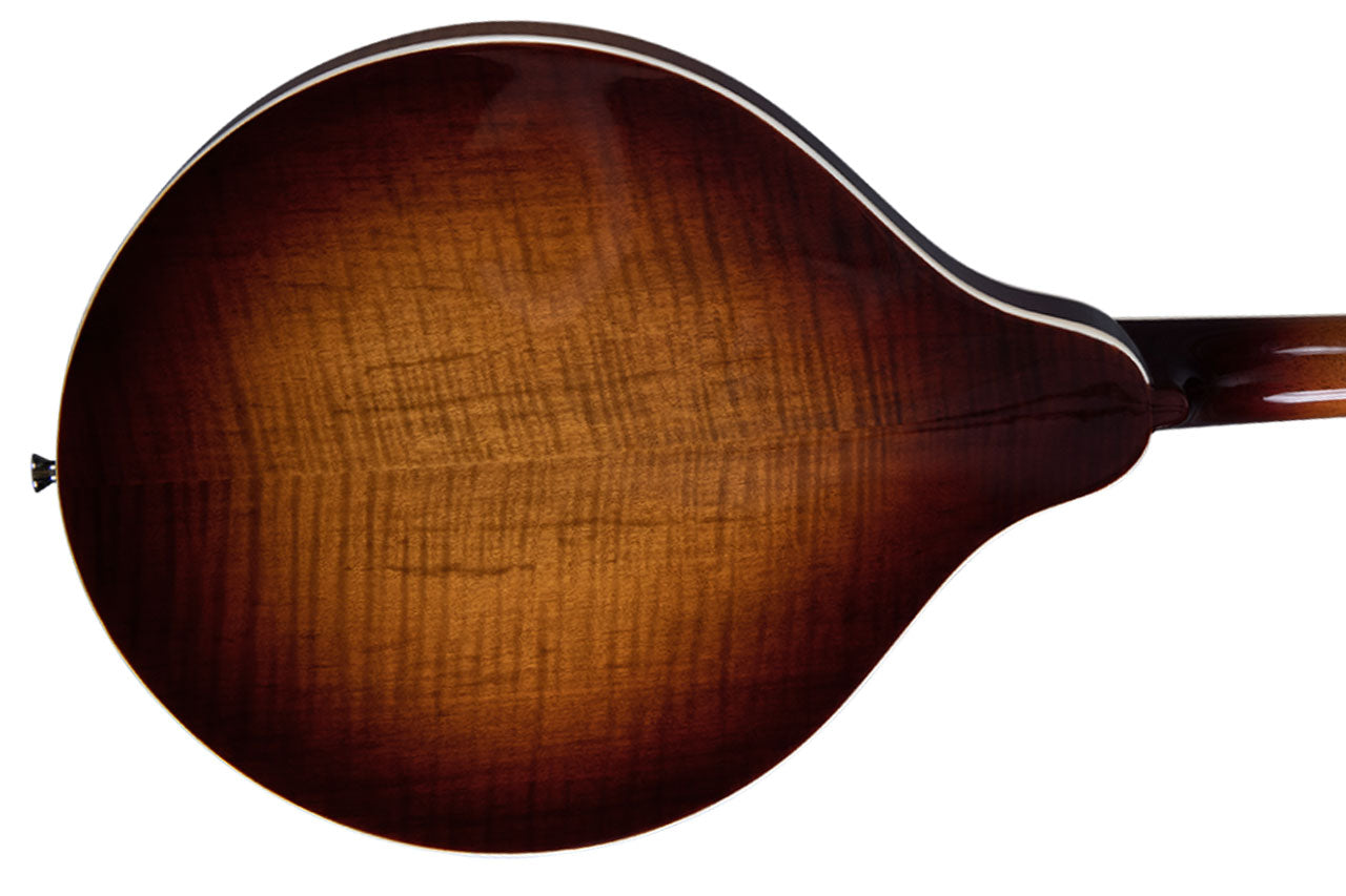 Rover RM-80S Burgundy Burst Mandolin