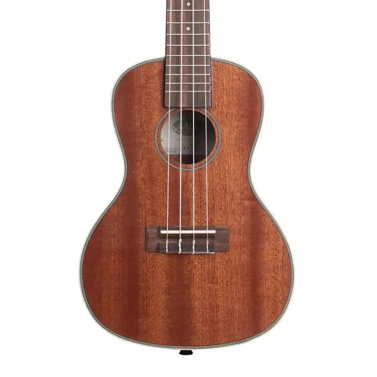 4_2c49fbd3-d0d8-43b4-8b01-c8ac06d7ff88 | Terry Carter Music Store