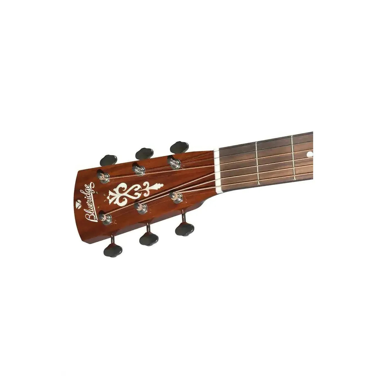 4_481d7dfe-68ad-4413-859c-c5cea0396174 | Terry Carter Music Store