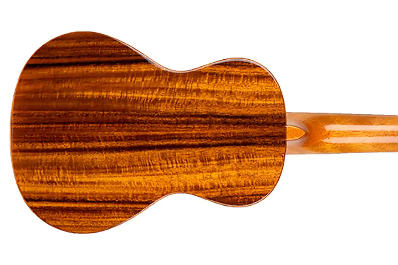 4_766a6077-ab7f-4646-a46a-767d121859f7 | Terry Carter Music Store