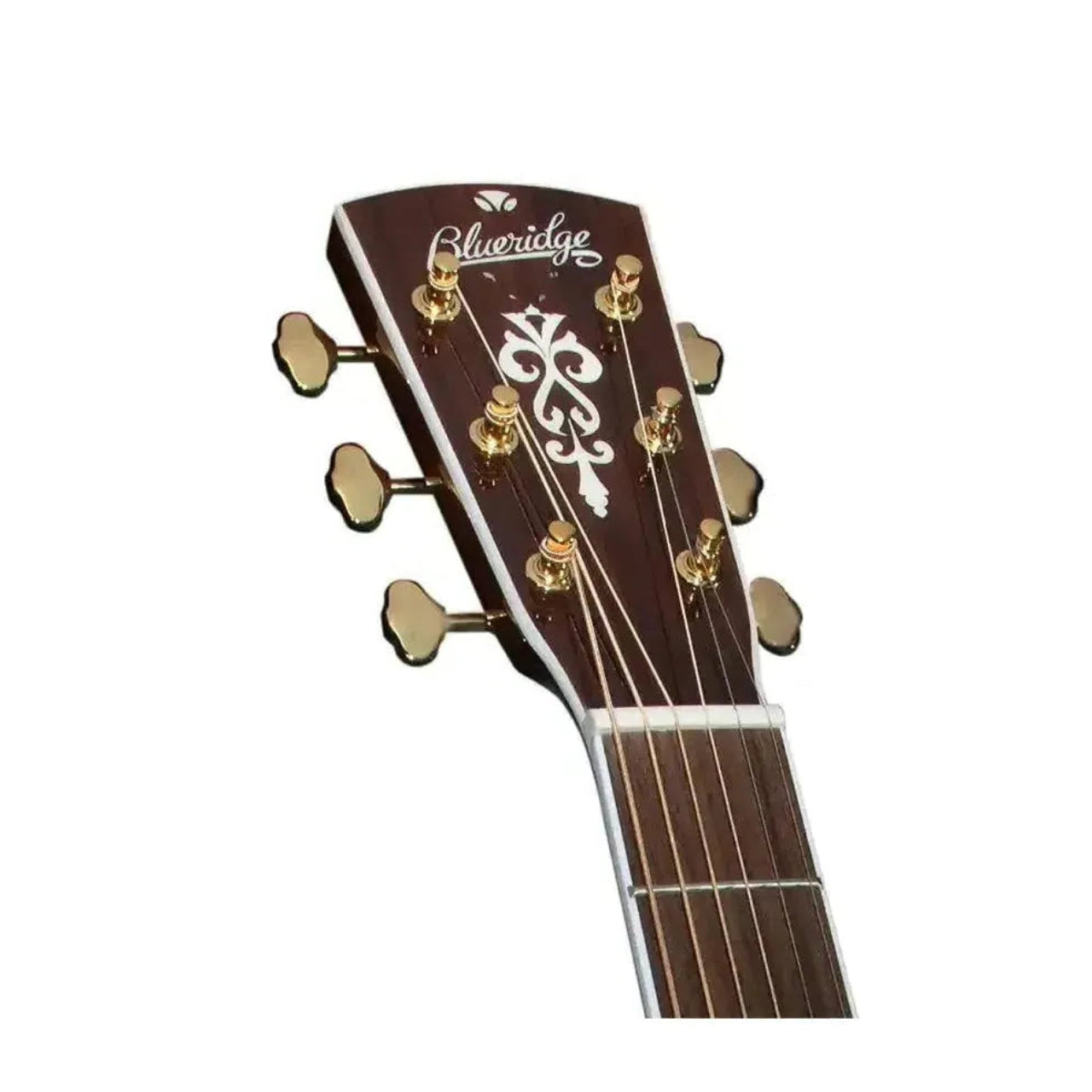 4_99e758de-5bd8-41d4-bcd1-e5b13afb93c4 | Terry Carter Music Store