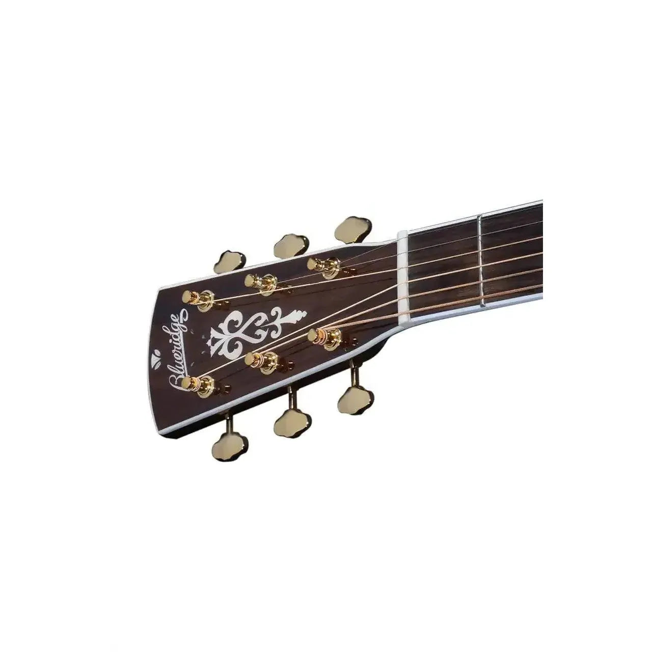 4_9b09d5ad-9693-4271-b00d-875d34edf1fe | Terry Carter Music Store