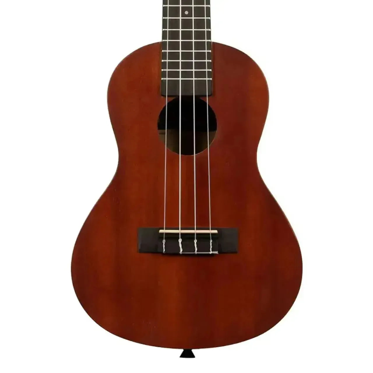 4_9d78bee5-df6d-49db-9ac8-a8f9c9959bb4 | Terry Carter Music Store
