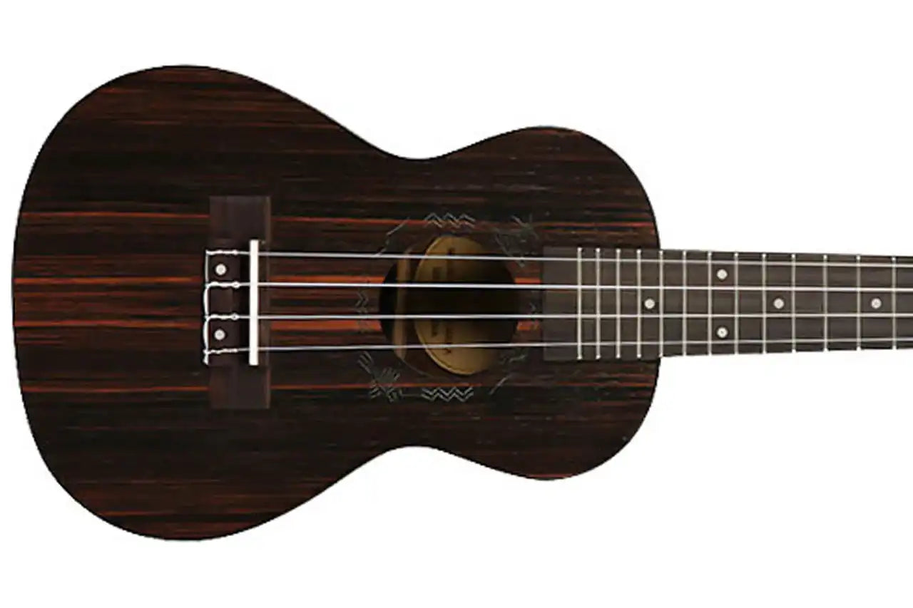 4_bd34b79a-7a74-4c4a-bb6b-14b0f10fe4cb | Terry Carter Music Store