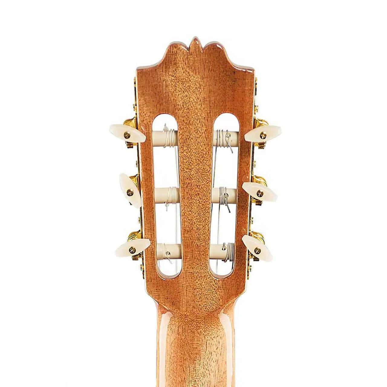 back of slotted headstock