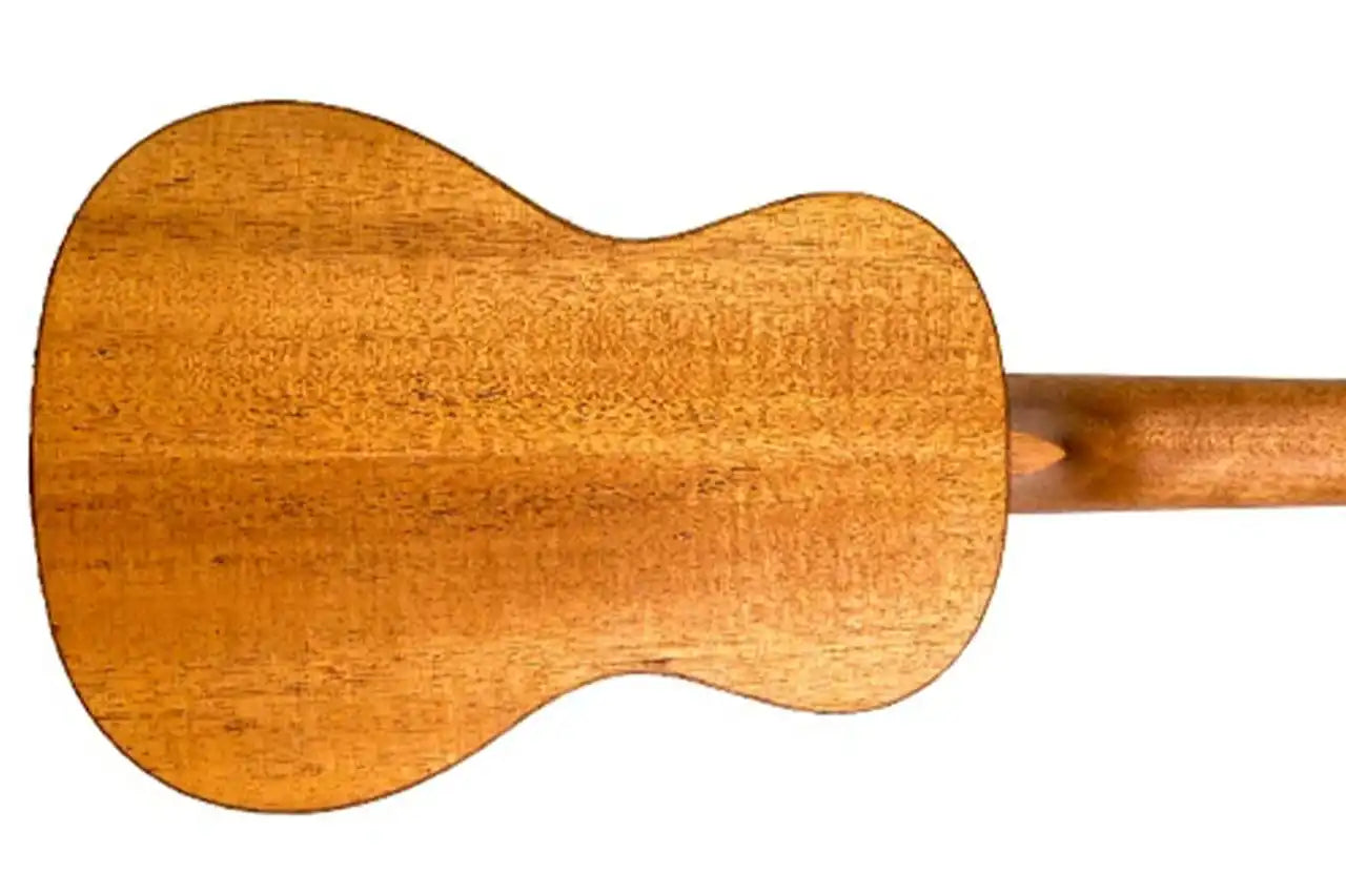 4_d2bac68e-ea9b-475b-bb6f-8903afbcf09f | Terry Carter Music Store