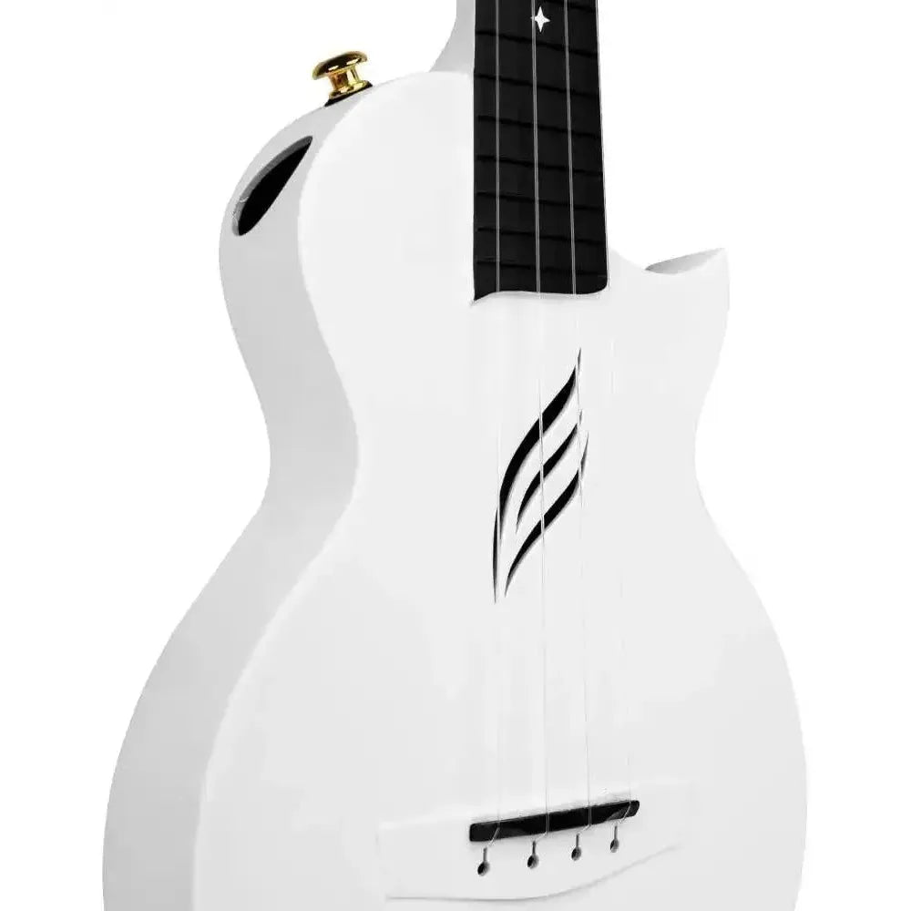51KA2bdd67L._AC_SL1000 | Terry Carter Music Store