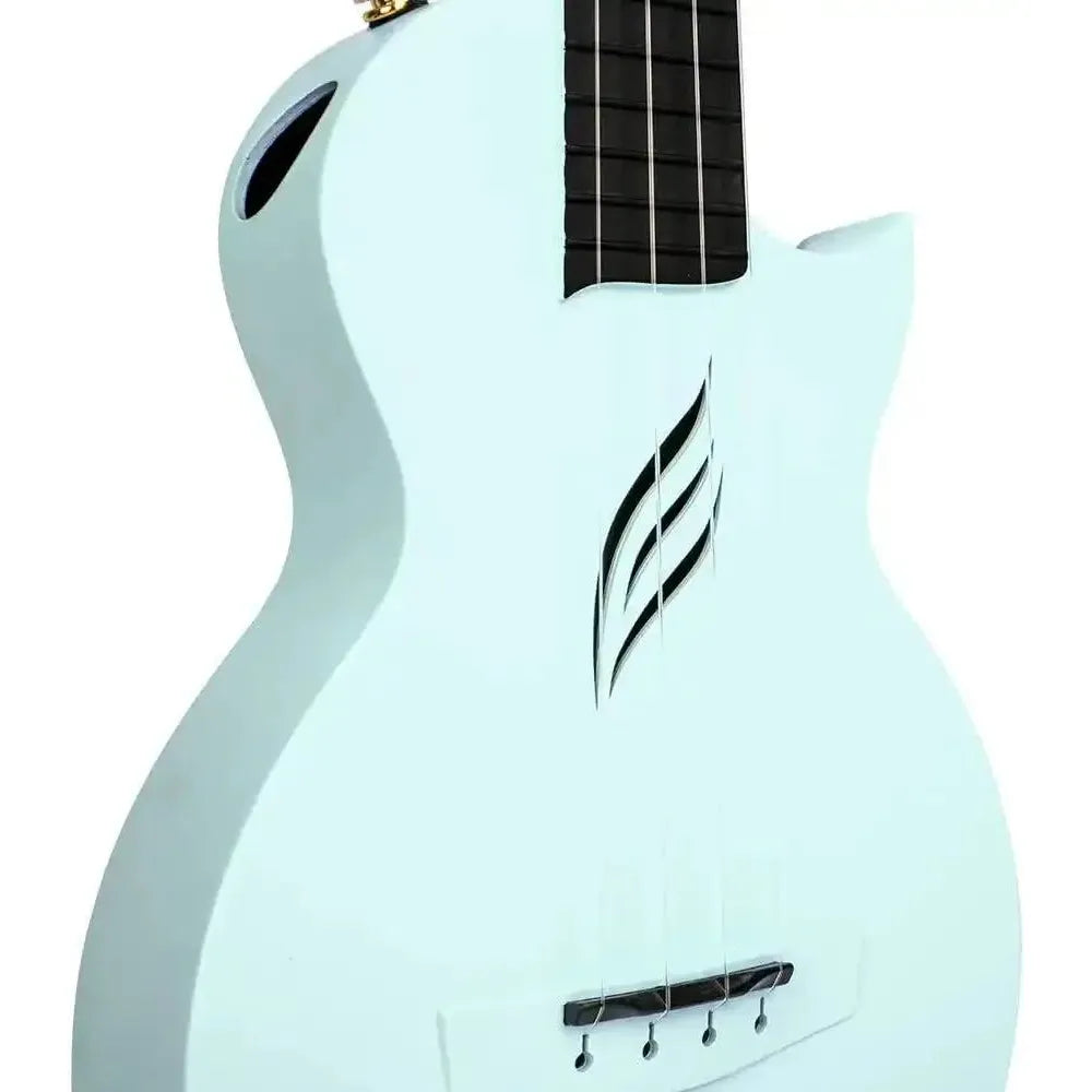 51M-2mRSZUL._AC_SL1000 | Terry Carter Music Store