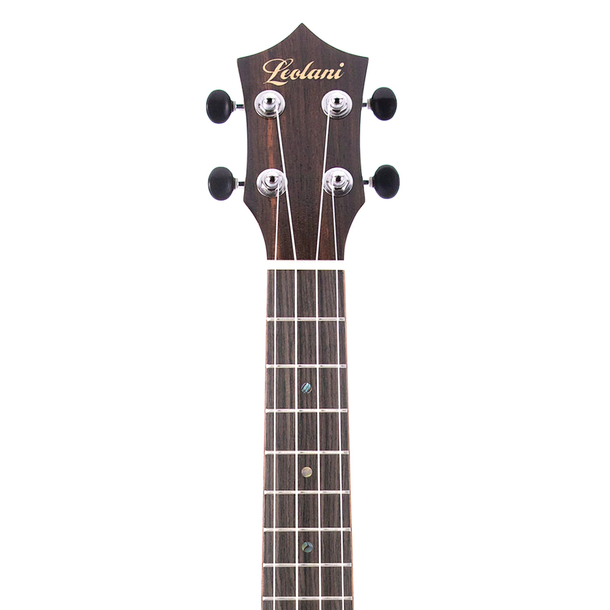 The Leolani T24G headstock close-up features the Leolani maple logo, diecast geared tuners, and reconstituted rosewood fretboard.