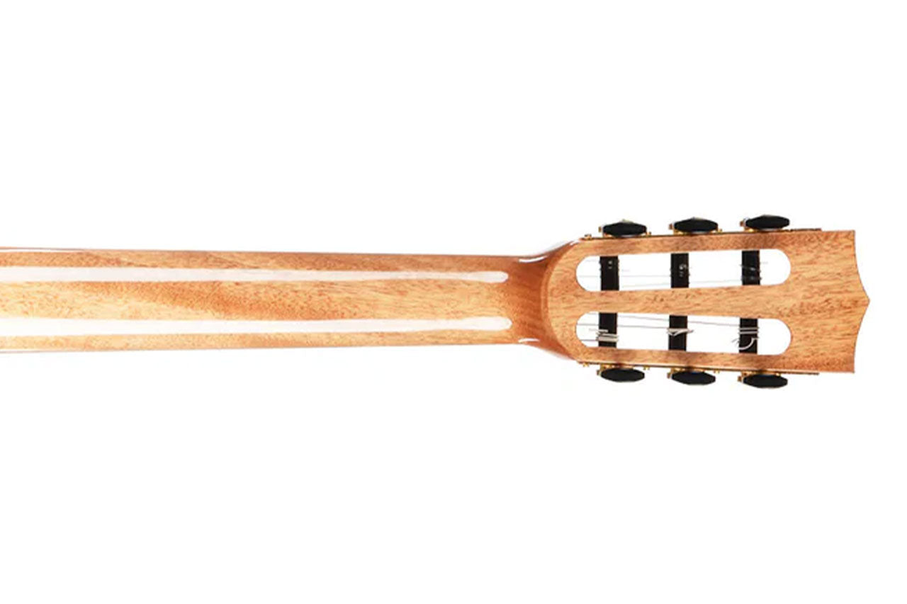 Kala GTR-MTS-E Thinline Steel Guitar - Terry Carter Music Store