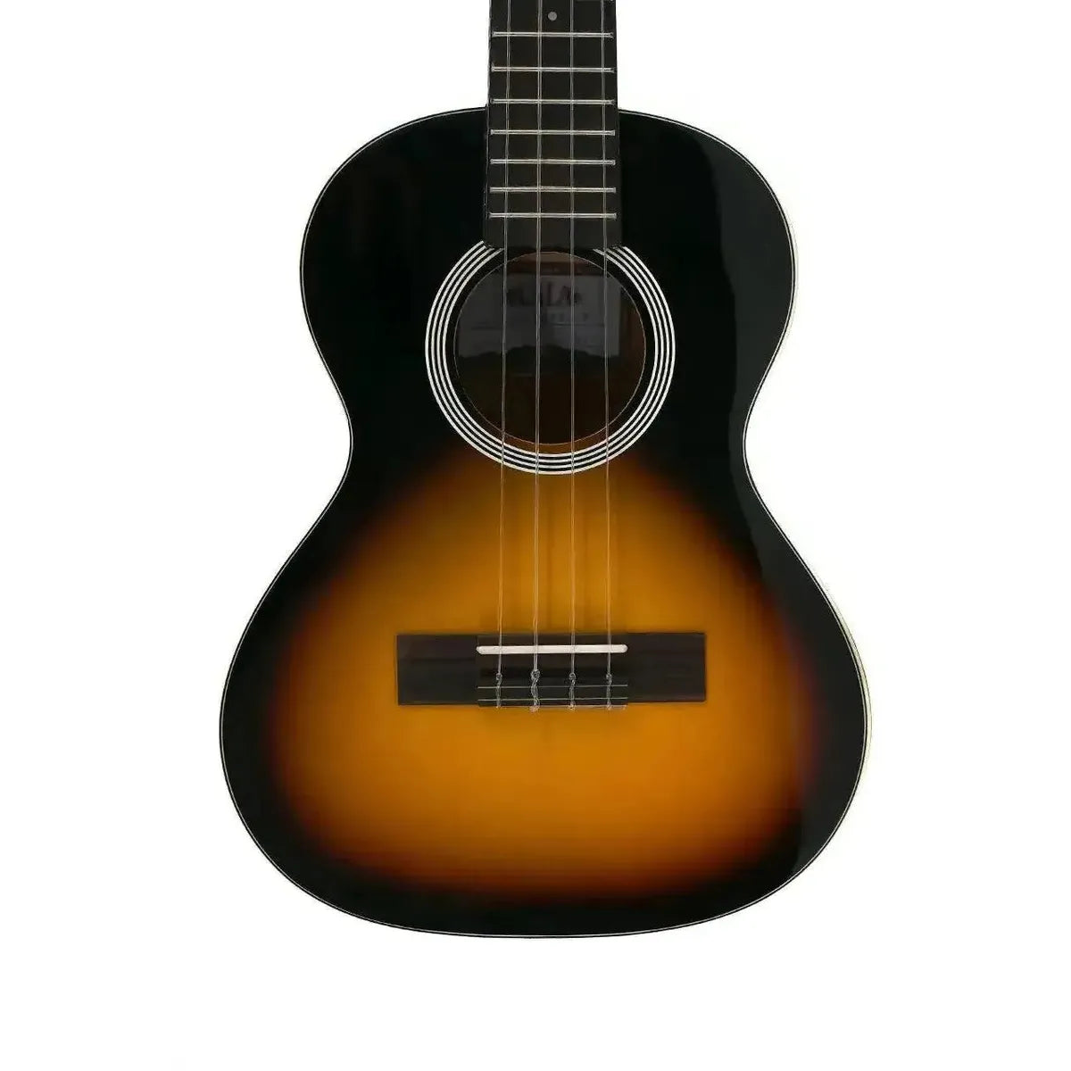 5_b94e4c32-40de-4aea-9261-e1fd2f99f8ca | Terry Carter Music Store
