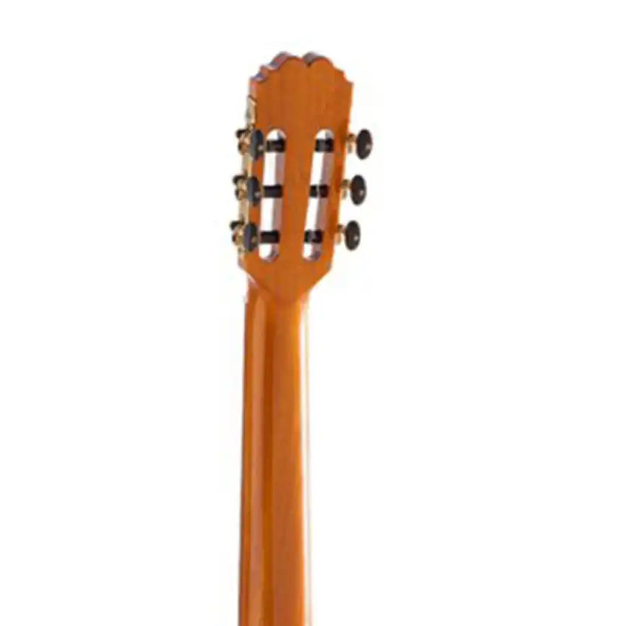5_cc86f916-bd19-4aff-8564-caac22b397e3 | Terry Carter Music Store