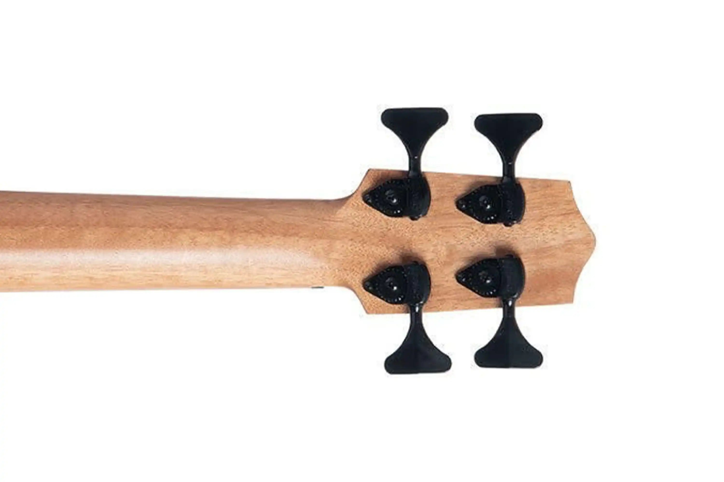 Kala Fretless Acoustic-Electric U•BASS - Terry Carter Music Store